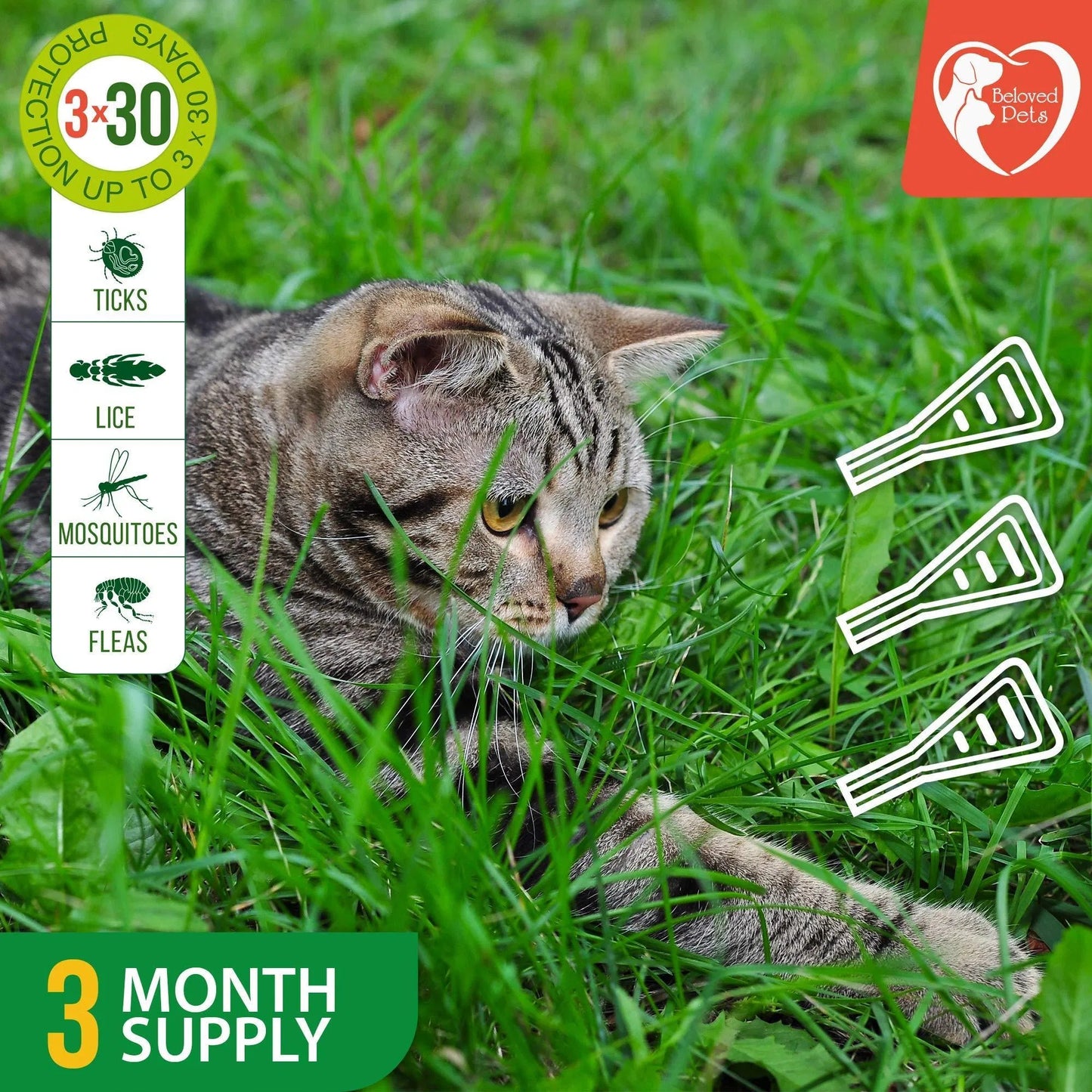 Natural Flea & Tick Prevention Drops for Pets – Safe Pest Control for Dogs, Cats, Rabbits & More