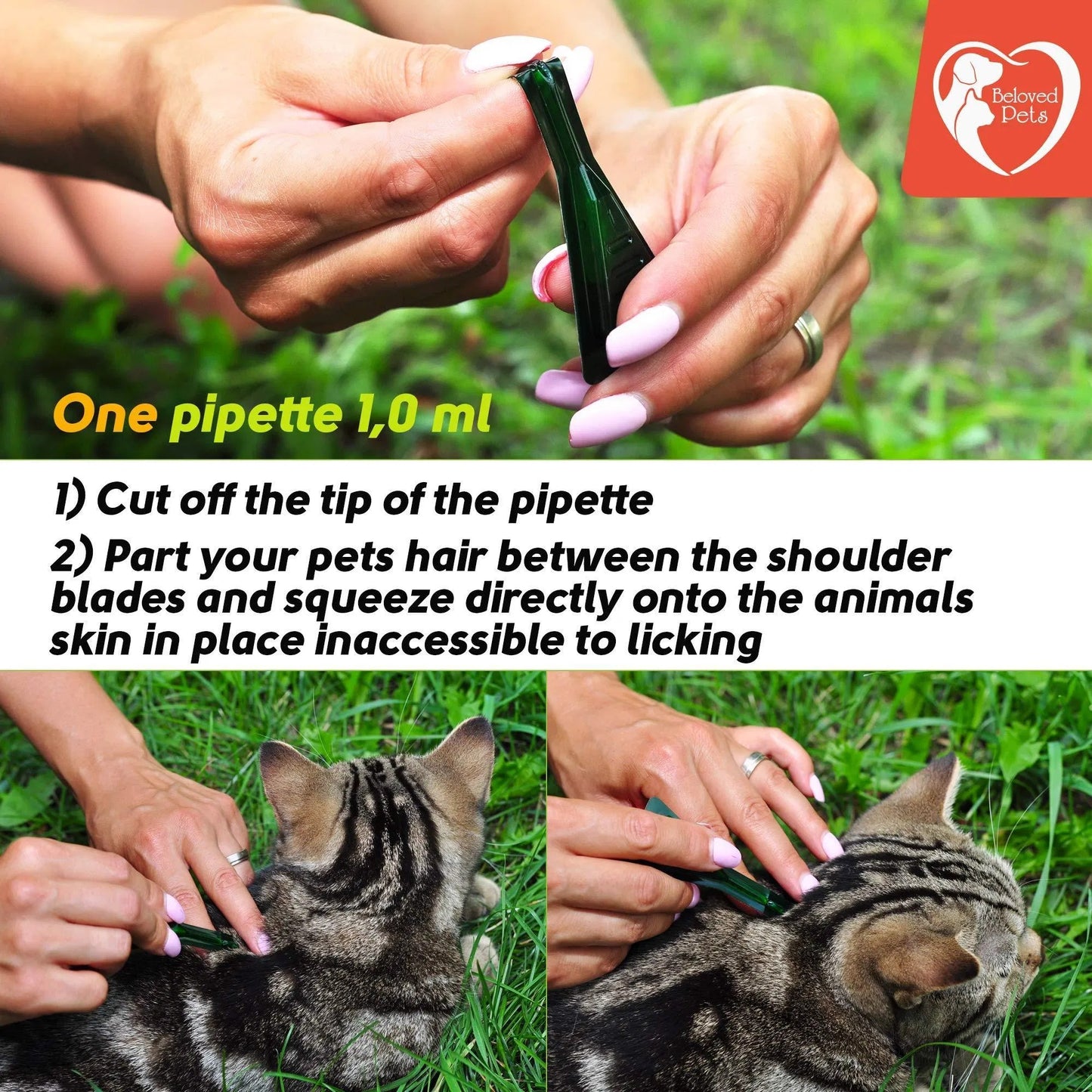 Natural Flea & Tick Prevention Drops for Pets – Safe Pest Control for Dogs, Cats, Rabbits & More
